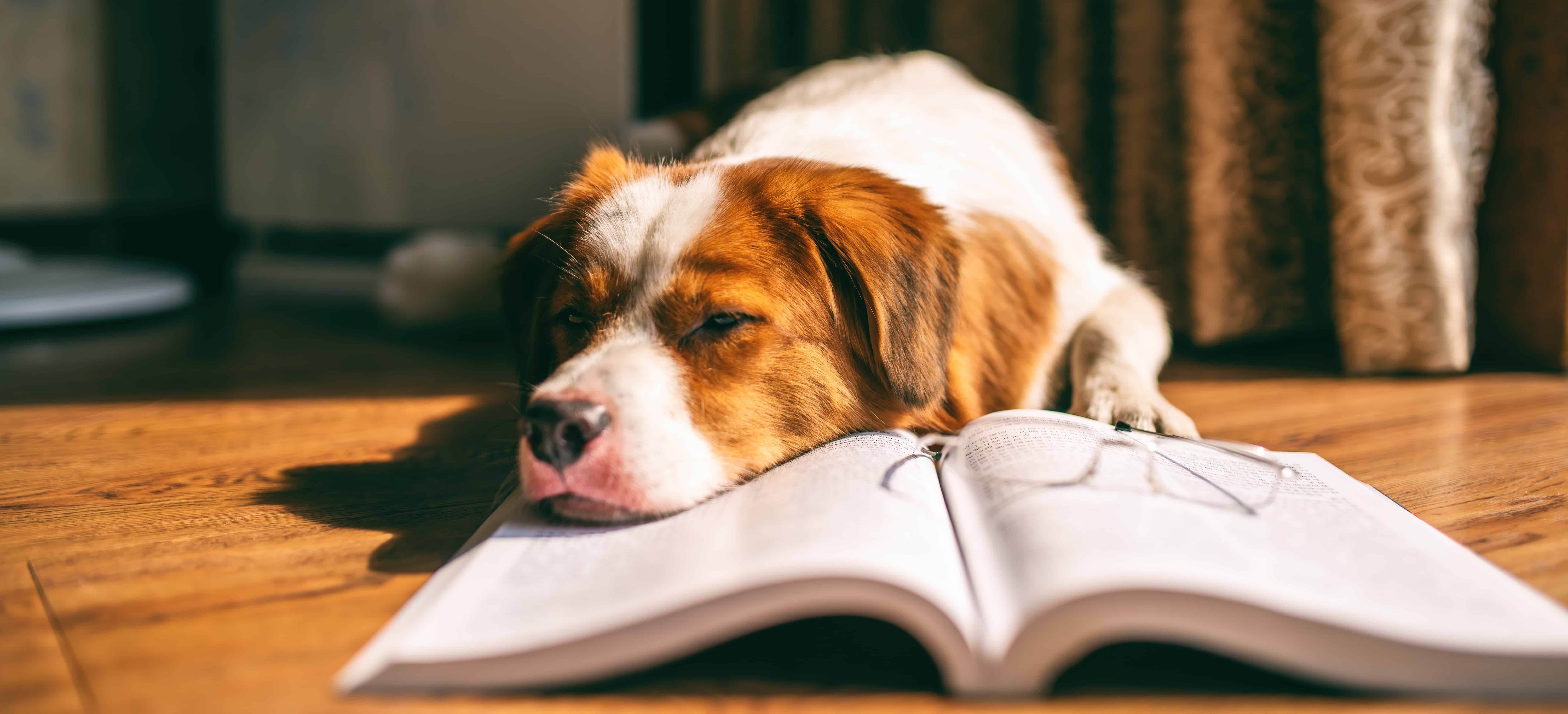 VCE English: Preparing and using quotes