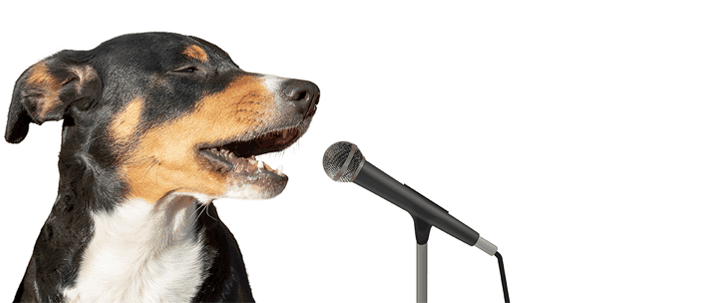 Speaking in front of people scares me – so what do I do about the oral presentation SAC?