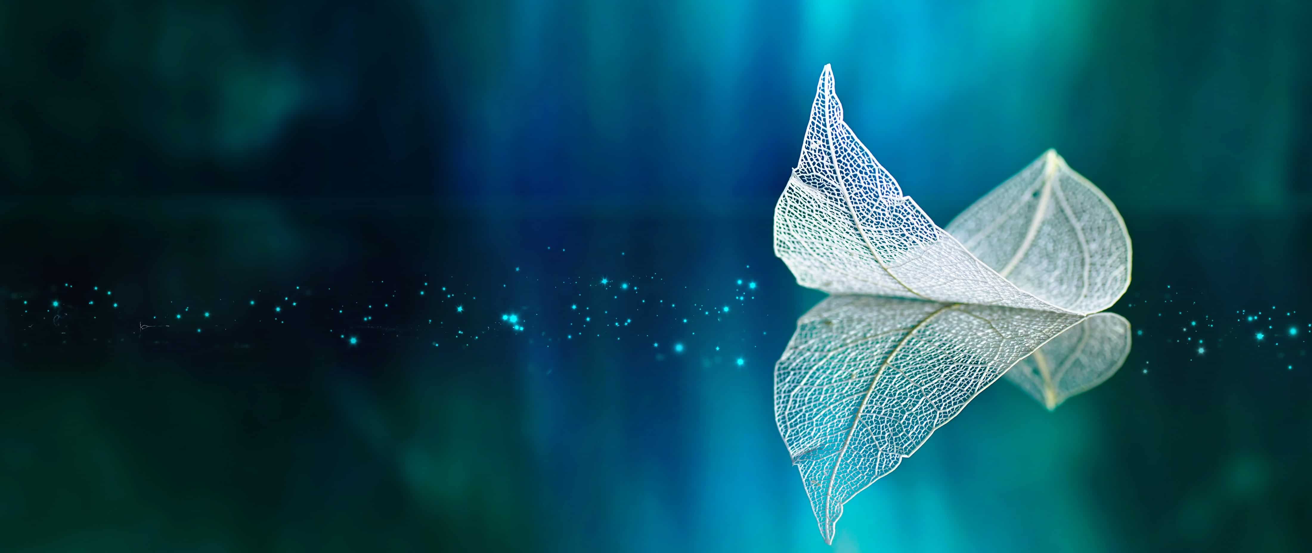 Reflecting on the 2019 VCE Literature Exam