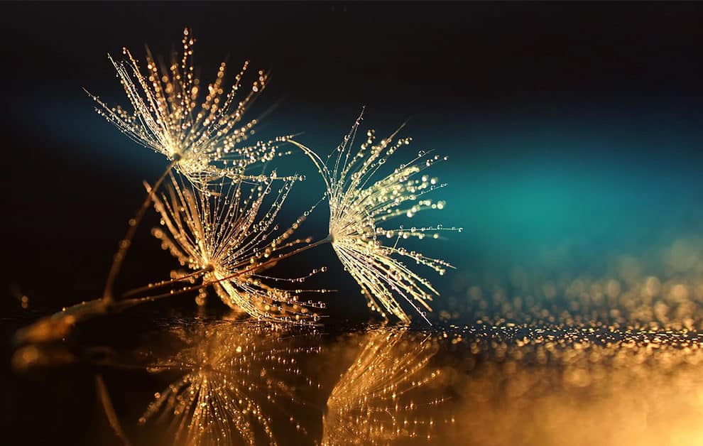 Reflecting on the 2019 EAL Exam