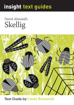 Insight Text Guide Skellig Front Cover Image