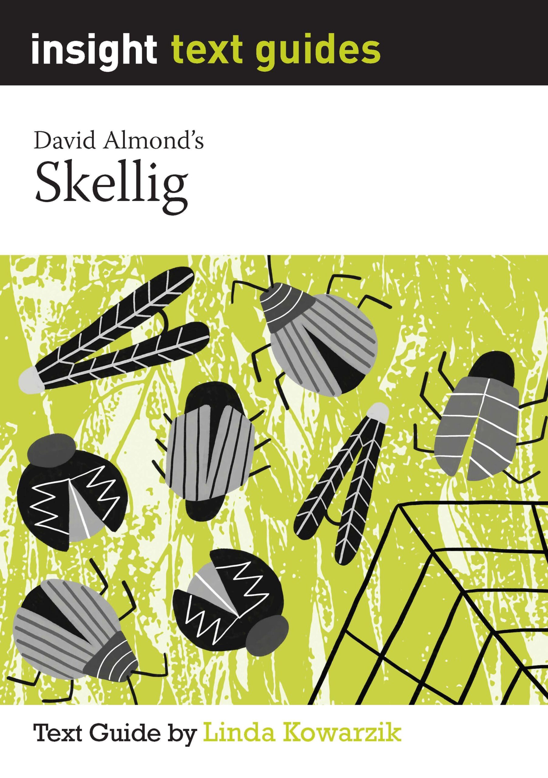 Insight Text Guide Skellig Front Cover Image