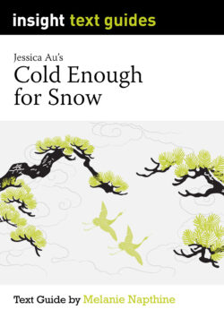 Insight Text Guide: Cold Enough for Snow