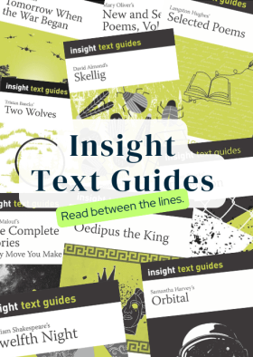 Tile image featuring cover images of new Text Guides by Insight