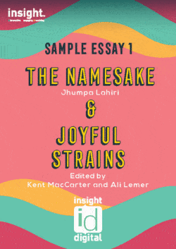 The namesake essay